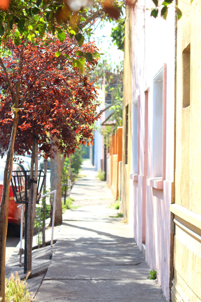 Sunlit street with colorful houses in Providencia, Santiago, Chile