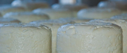 YM_fromages1.jpg