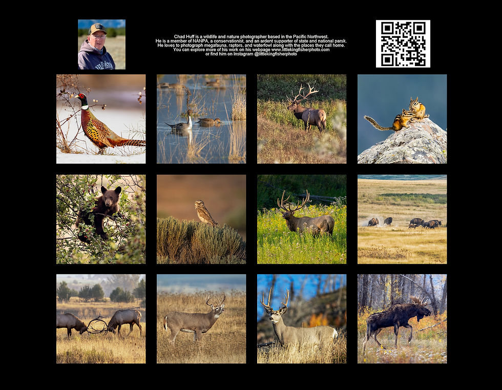 Thumbnail: 2025 Wildlife Calendar