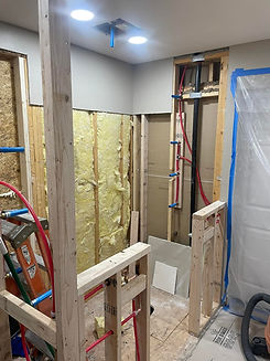 K9 pre renovation bathroom.jpg