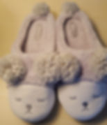 Slippers (2)_edited.jpg