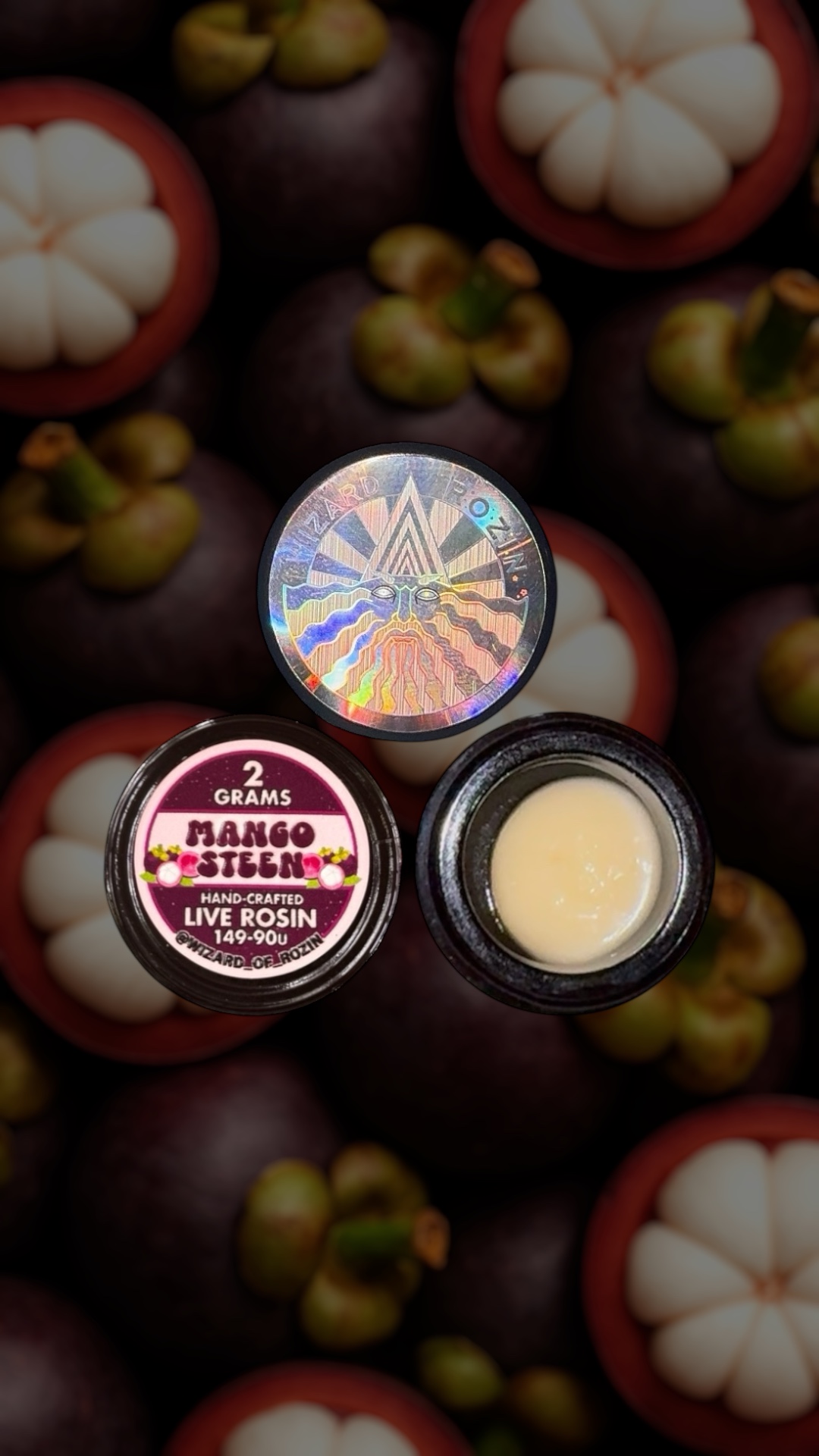 wizard rozin - mangosteen.jpg