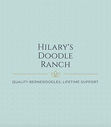 logo for Hilary's Doodle Ranch Quality Bernedoodles
