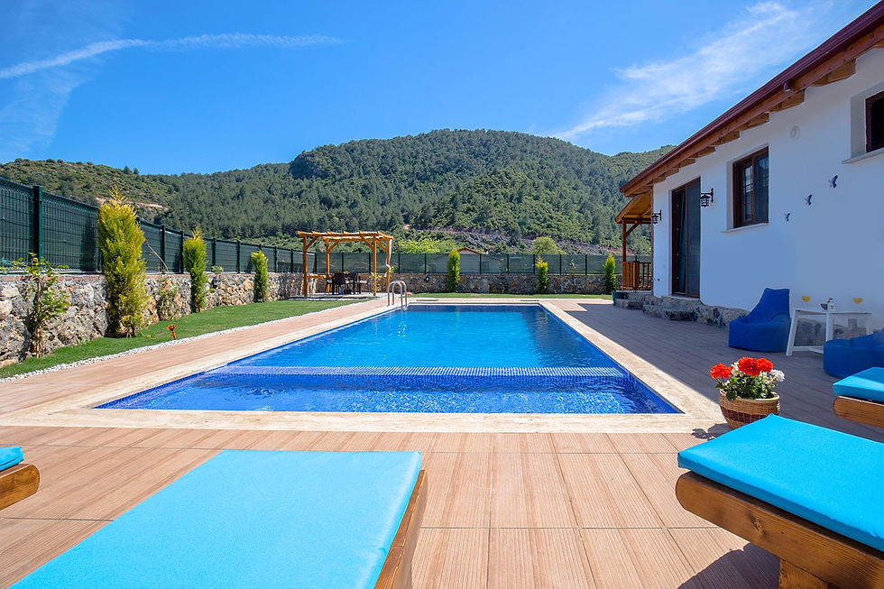 WhatsApp Image 2026-01-04 at 21.18.09 (3).jpeg