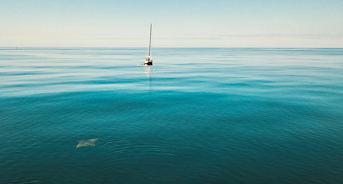 77629F22-ED4B-452B-8737-847CC1DBB03C_1_201_a.jpeg