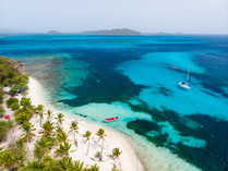 AdobeStock_Parc marin Tobago Cays.jpeg