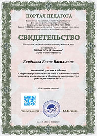 вебинар.jpeg
