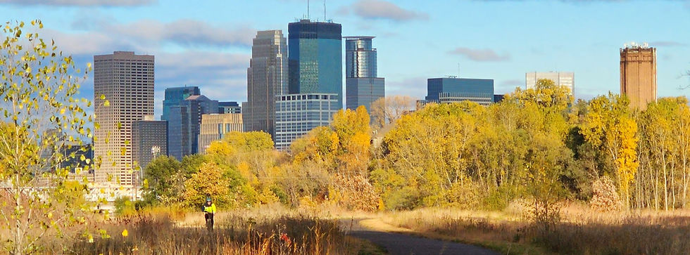 MPLS Skyline.jpg
