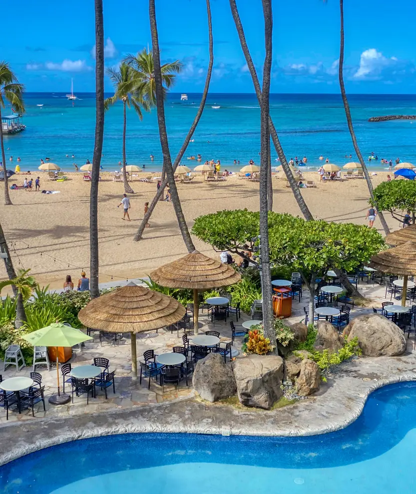 HHV_Hau_Tree_Cantina_02-1920x1080.jpg__i=AA.webp