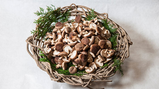 佃煮用しい茸(1kg)