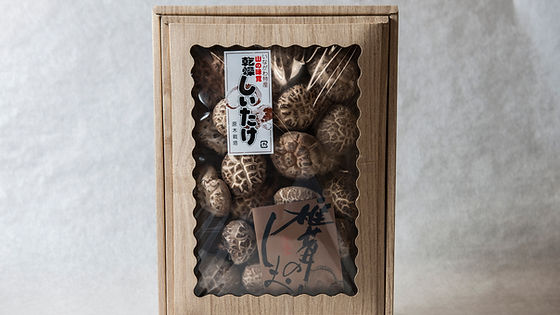 どんこ 乾しい茸