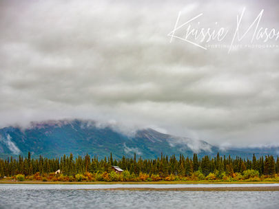 RIDE UP THE ALLEN RIVER IN ALASKA