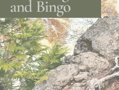 On Navigation and Bingo