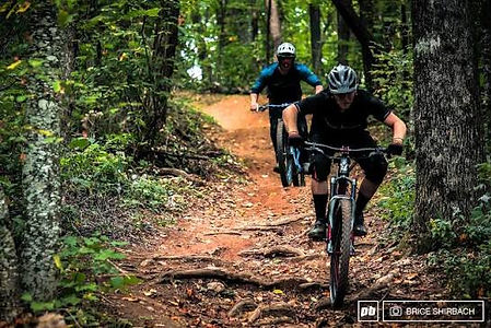 mtn bike.jpeg