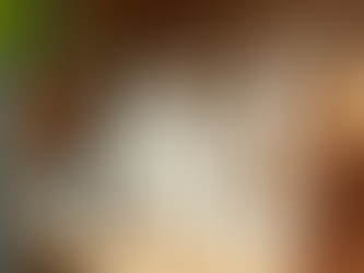 Explore the Charm of Auntie Ama Essentials NY