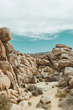 alex-rhee-bNFp_Nel4gc-unsplash.jpg