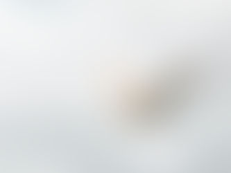 Introdução a Noé e Diagnóstico Divino | Gênesis 6:9–13