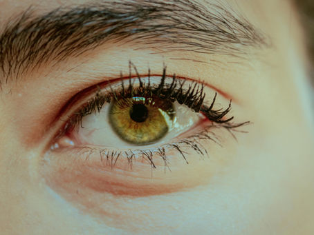 Provisão e Avaliação Final | Gênesis 1.29–31