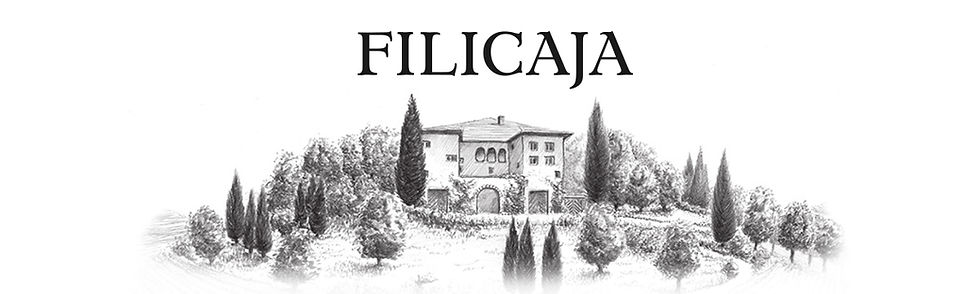 amazon-store-filicaja-C