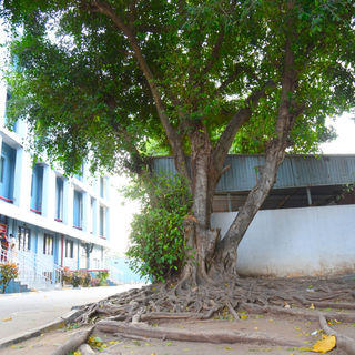 2022_CBE_Garden Competition (50).JPG