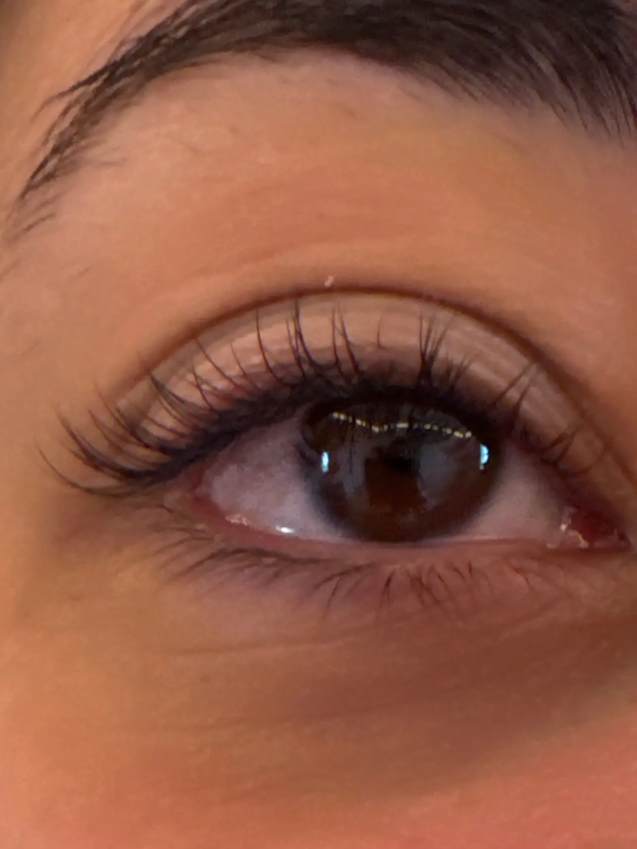 extension cil à cil chez tina beaute mulhouse