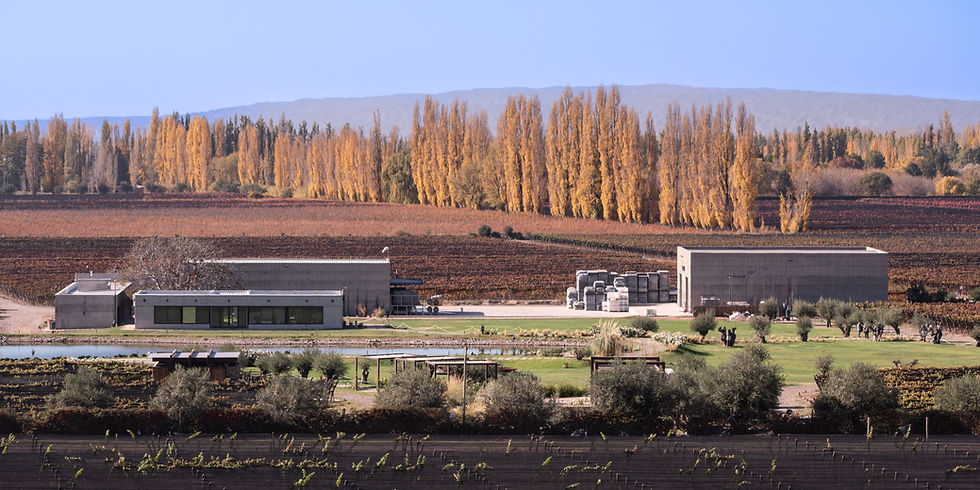DFW_winery05_edited.jpg