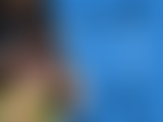 Culture Collections @ Westbridge Academy