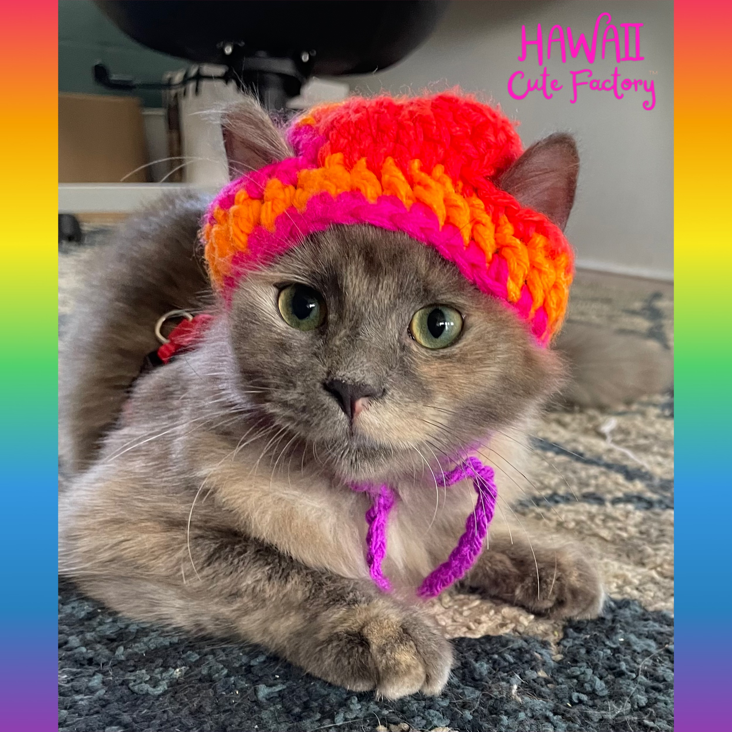 Cat Cap (Adult Cat) 🐈 💕 custom colors Made-To-Order