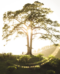 Bildschirmfoto 2025-12-08 um 17.03.25.png