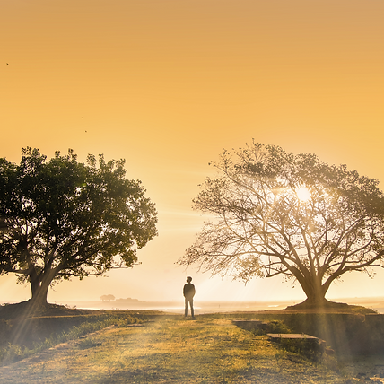 Bildschirmfoto 2025-12-08 um 16.42.10.png
