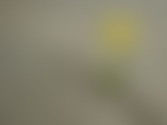 Ansia e solitudine: un legame nascosto