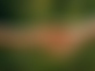 Coltivare la compassione