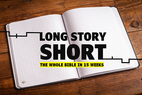Long Story Short Series.png