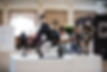 Dutch Equine Art Fair.jpg