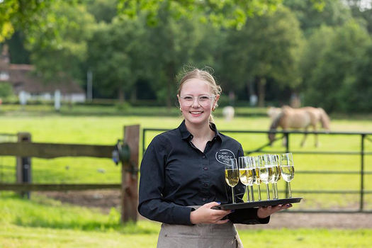 Van Muze tot Meesterwerk, June 2024, De Paardenkamp, Soest (NL)