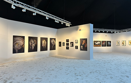 Bahrain Mara'ee