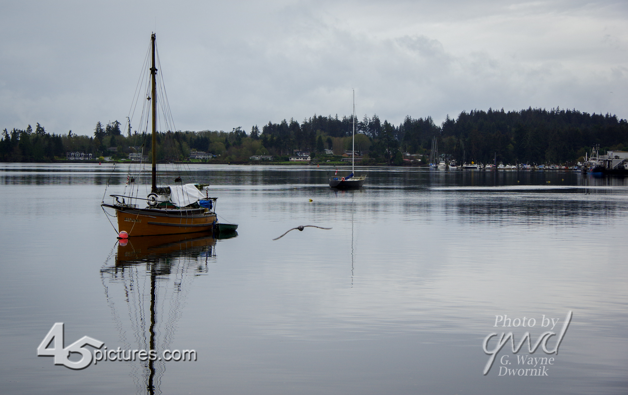 16WD0503-2 Sook, B.C.