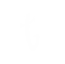 Untitled-2.png