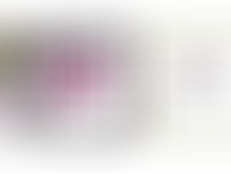 Export Services Award 2014 presented to the firm by Ethos at the Greek Exports Forum Awards ceremony