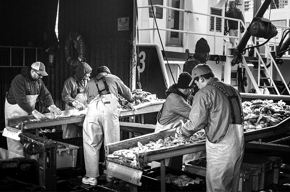 Fishing boat processing fish