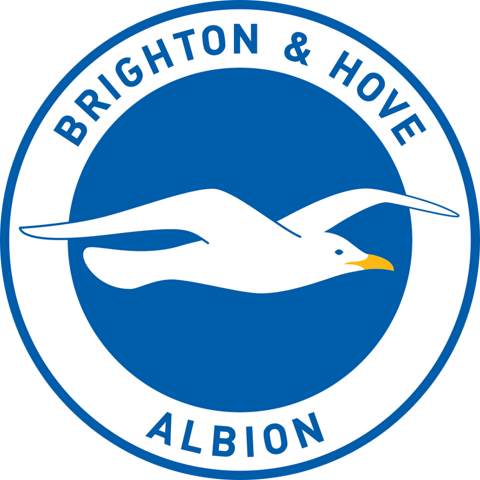Client Logo - Brighton Football Club