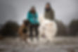 A malinois and great pyrenees running and playing together