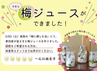 梅ジュース試飲きいろ260610.jpg