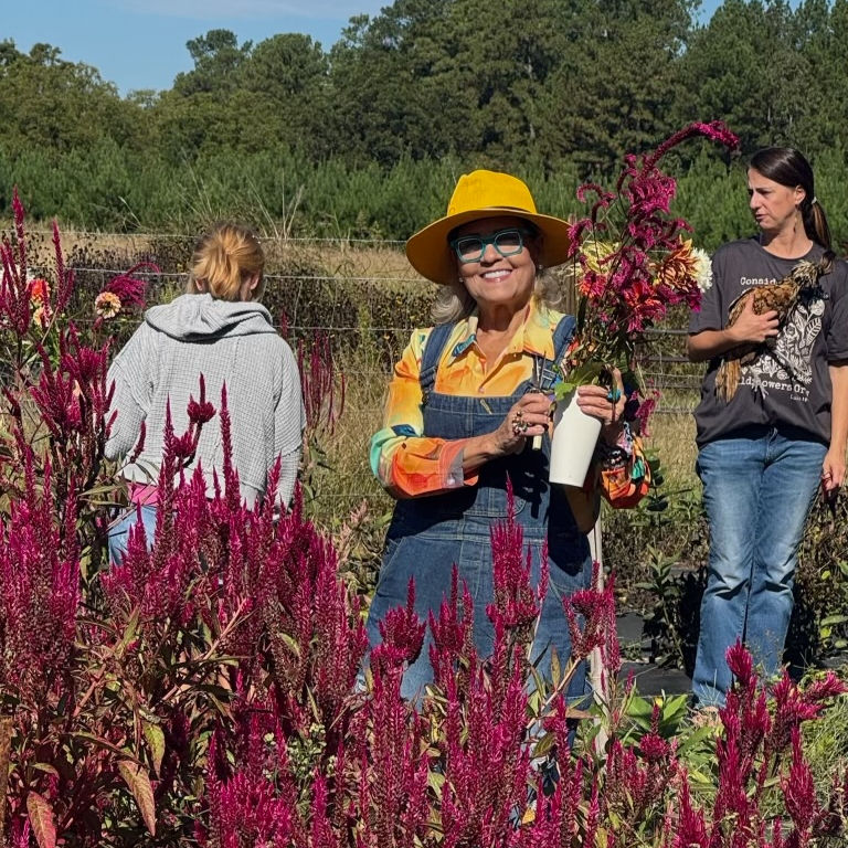 Indigo Iris Farms