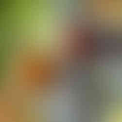 מסעדה ויאטנמית