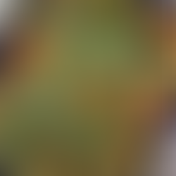 המנה שיצאה מהתנור