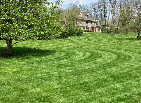 Beautiful Green Grass After Expert Lawn Mowing & Maintenance