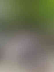 Lise relaxing after the climb