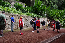 The group with their guide