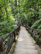 The stairs to the waterfall